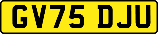 GV75DJU