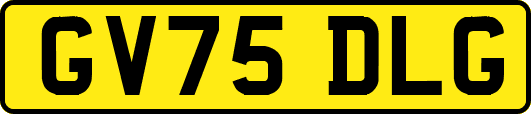 GV75DLG