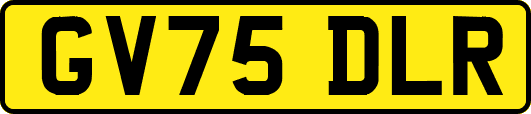 GV75DLR