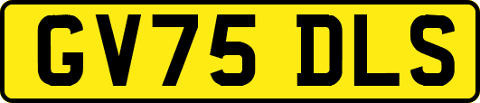 GV75DLS