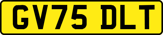 GV75DLT
