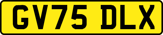 GV75DLX