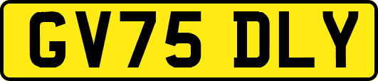 GV75DLY