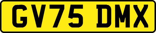 GV75DMX