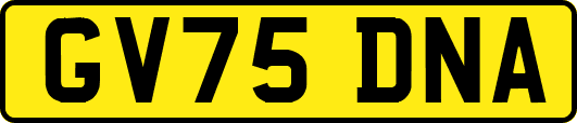 GV75DNA