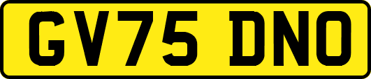 GV75DNO