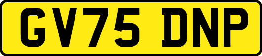 GV75DNP