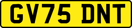 GV75DNT