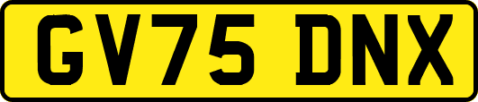 GV75DNX