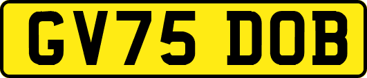 GV75DOB