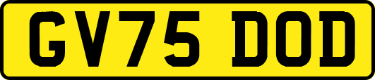 GV75DOD