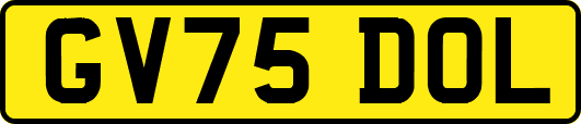 GV75DOL