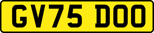 GV75DOO