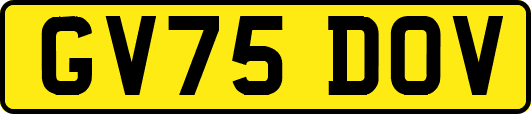 GV75DOV