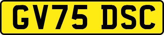 GV75DSC