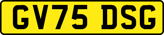 GV75DSG