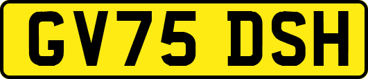 GV75DSH