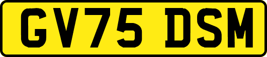 GV75DSM