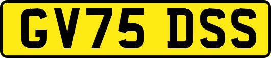 GV75DSS