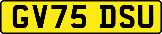 GV75DSU