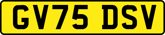 GV75DSV