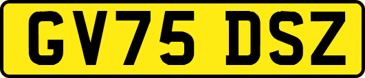 GV75DSZ