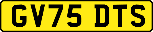 GV75DTS