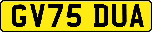 GV75DUA