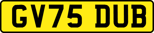 GV75DUB