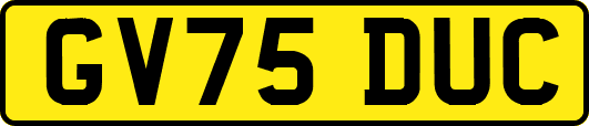 GV75DUC