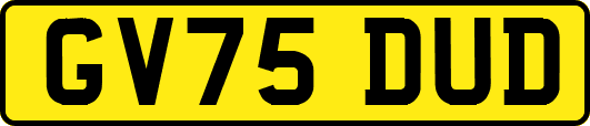 GV75DUD