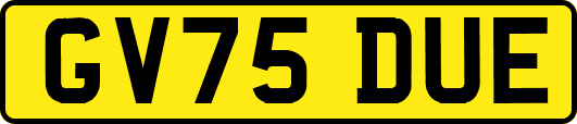 GV75DUE