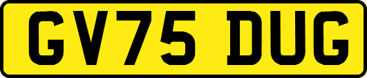 GV75DUG