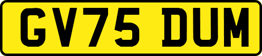 GV75DUM