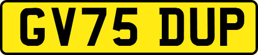 GV75DUP