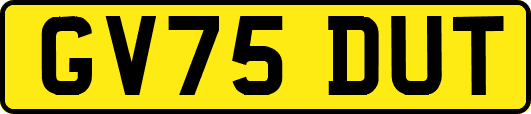GV75DUT