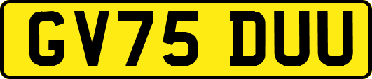 GV75DUU