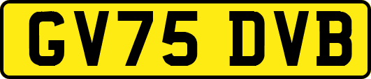 GV75DVB