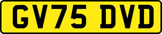 GV75DVD