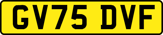 GV75DVF
