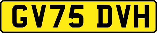 GV75DVH