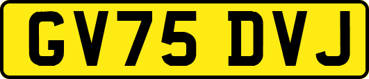 GV75DVJ