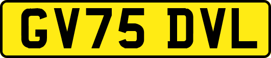 GV75DVL