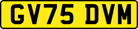 GV75DVM