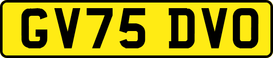 GV75DVO