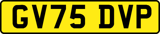 GV75DVP