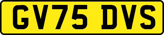 GV75DVS