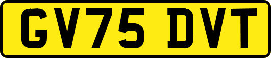 GV75DVT
