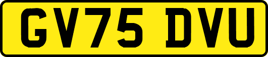 GV75DVU