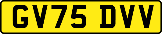 GV75DVV